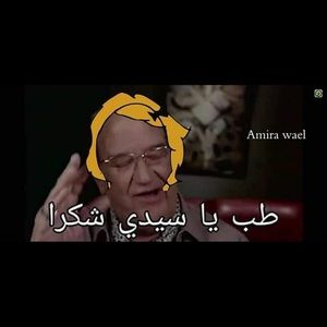 Meet your Posher, Nora